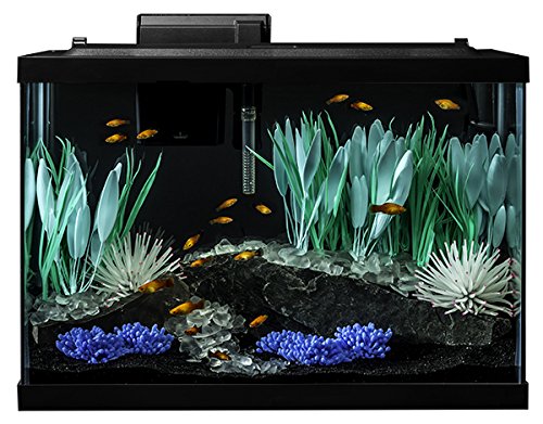 tetra 5 gallon led aquarium kit instructions