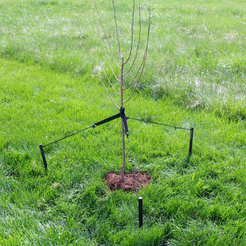 tree stake kit instructions